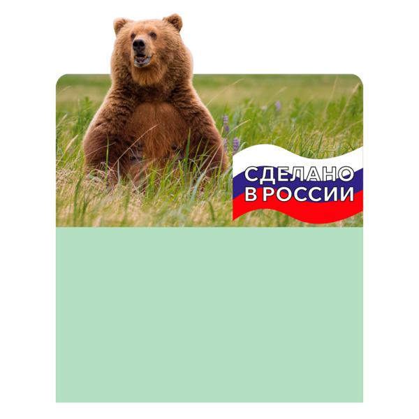 stpos_Шелфстоппер (шелфтокер) фигурный, медведь, надпись на флаге, ПЭТ 0,3мм, 70х75 мм, Сделано в России