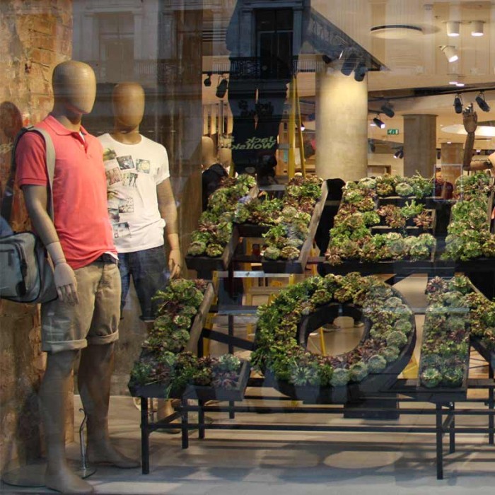 deck5_ESPRIT_window_opening-London_plant02-700x700.jpg