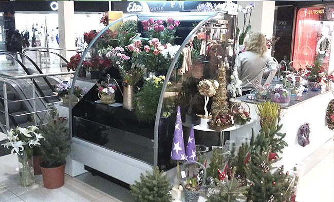 TSvetochnaya-gorka-Lida-flora.png