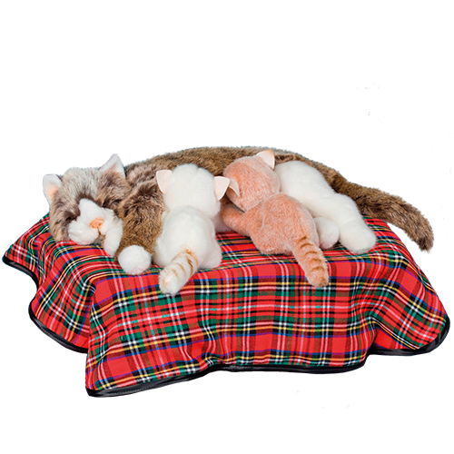 0074-H60-Mother-cat-in-basket-nurses-her-2-kittens.jpg