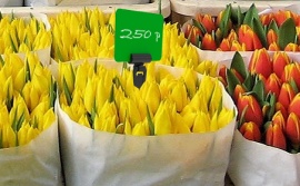 Торговое оборудование для магазина цветов: ценники