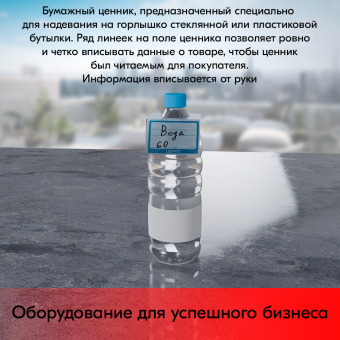 05_Ценник БУМАГА бутылочный 60х95мм, (предпечать цена, руб., коп.) Синий - 100 шт